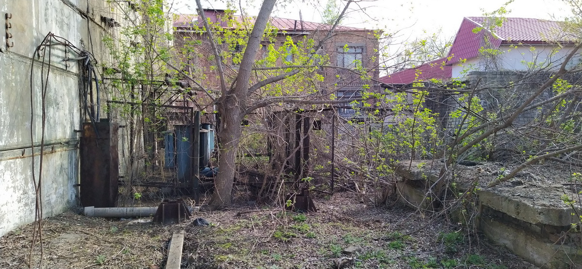 IMG_20230423_164323_новый размер.jpg