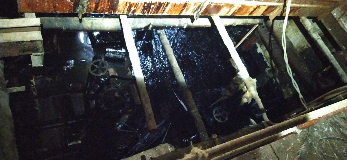 IMG_20230423_164935_новый размер.jpg