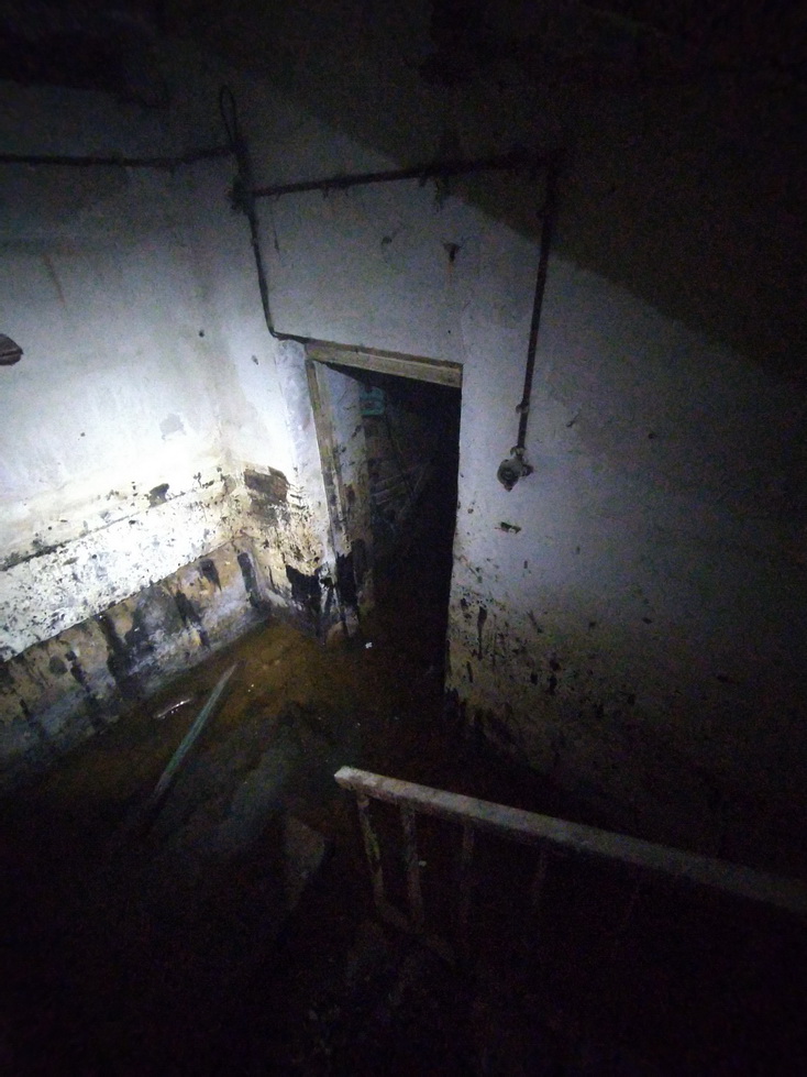 IMG_20230423_165146_новый размер.jpg