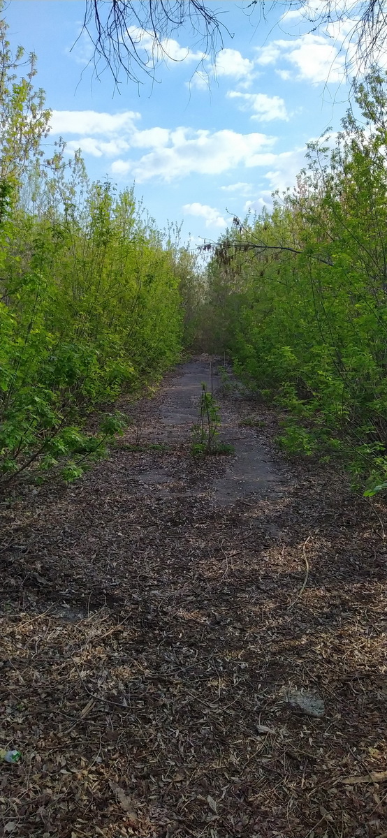 IMG_20230423_165405_новый размер.jpg