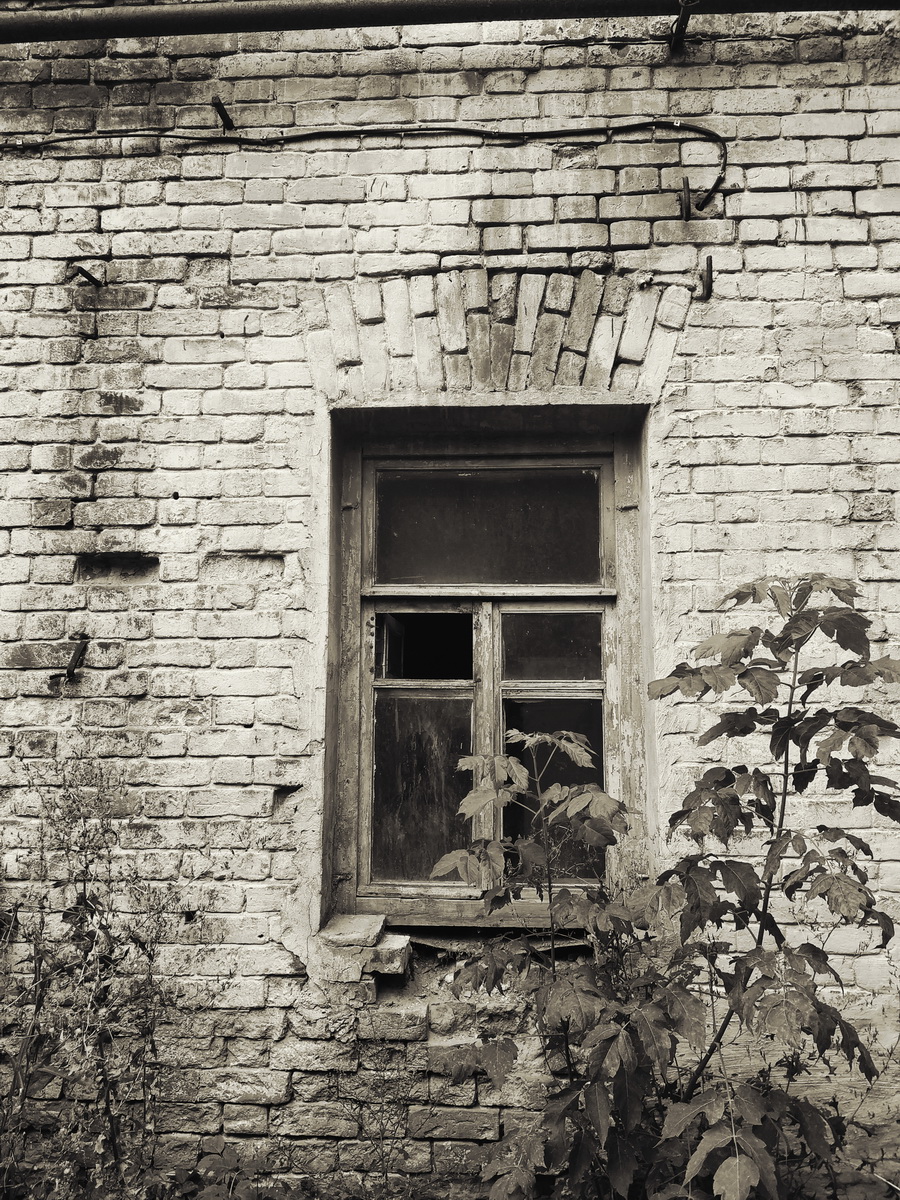 IMG_20240817_132839_новый размер.jpg