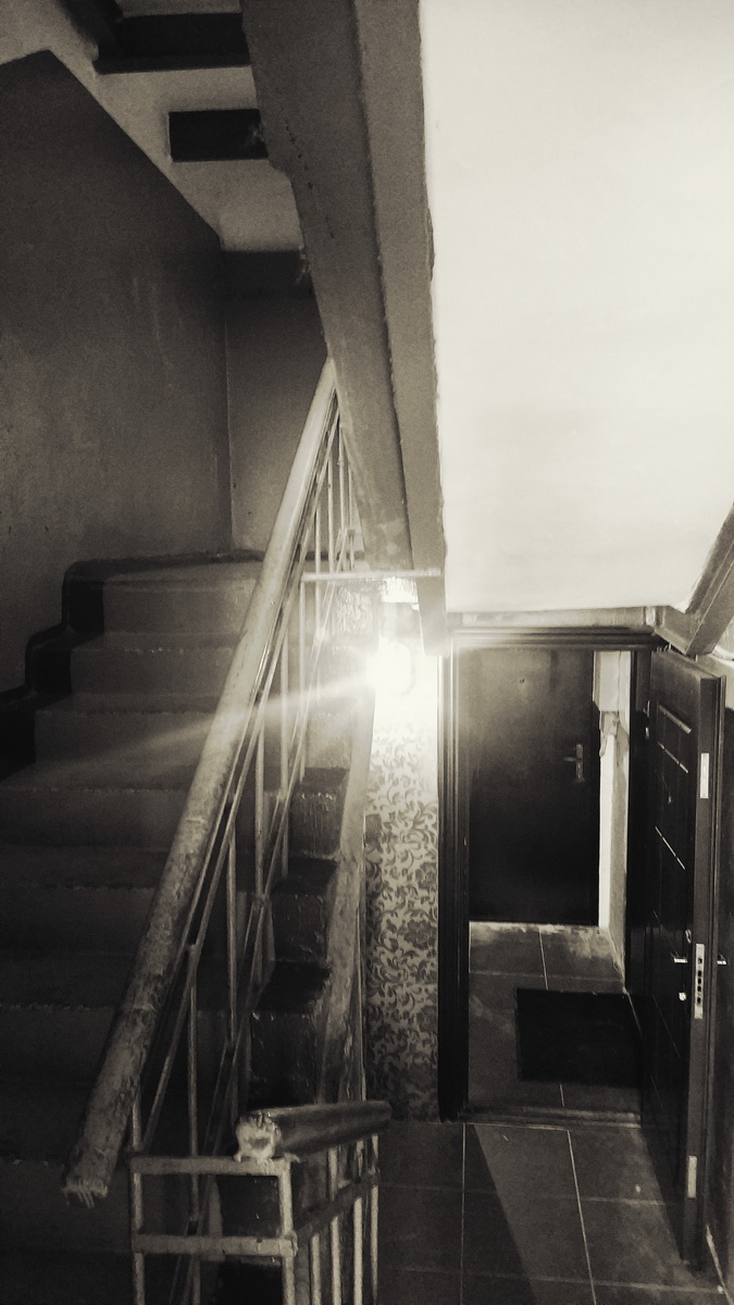 IMG_20240817_133032_новый размер.jpg