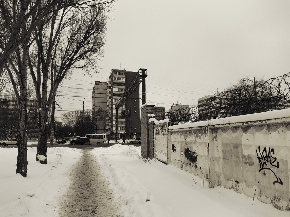 IMG_20241219_131202_новый размер.jpg