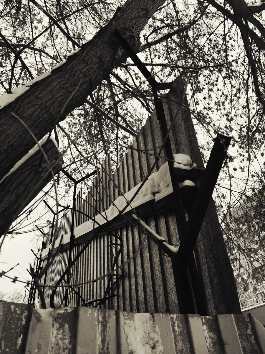 IMG_20241219_163044_новый размер.jpg