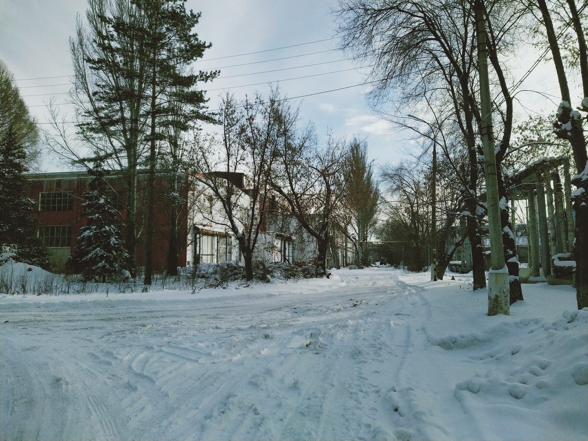 IMG_20241224_124220_новый размер.jpg