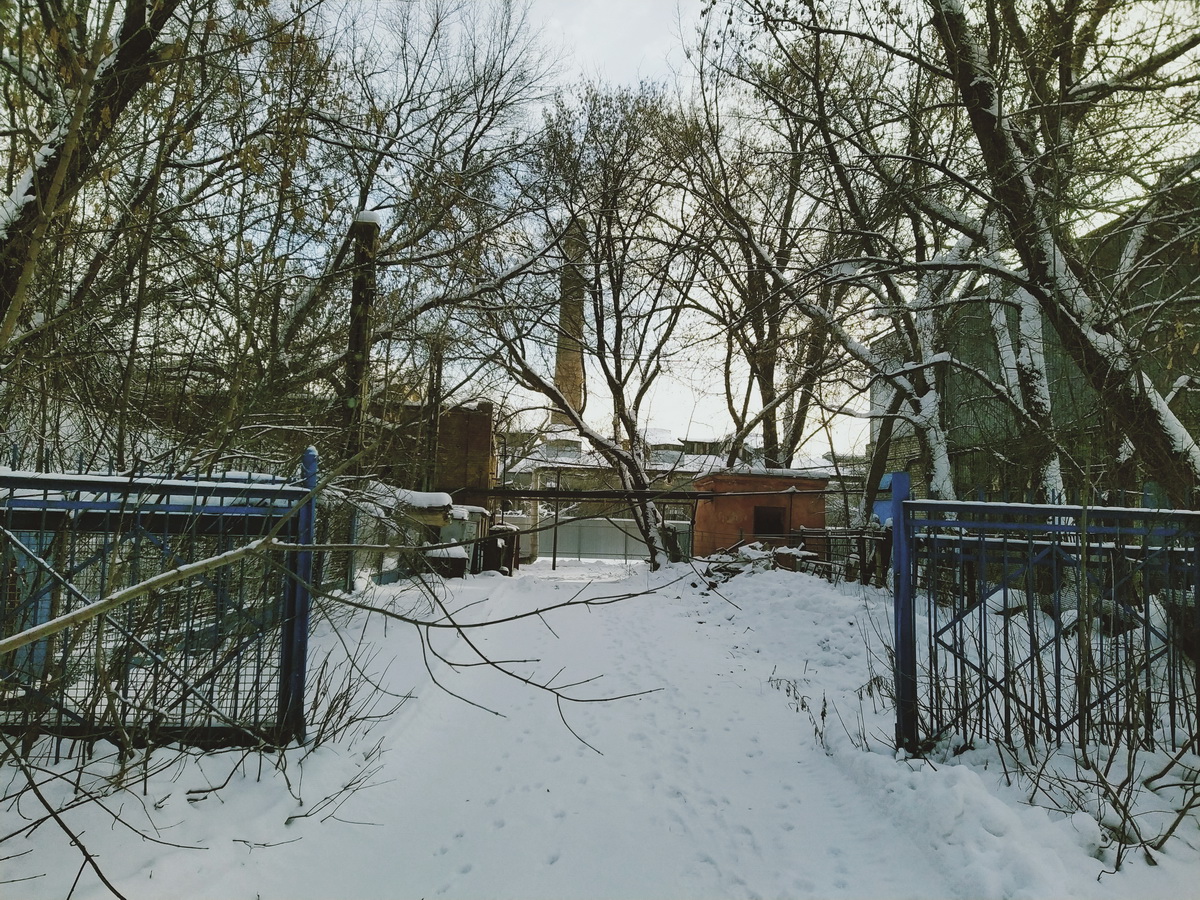 IMG_20241224_124325_новый размер.jpg