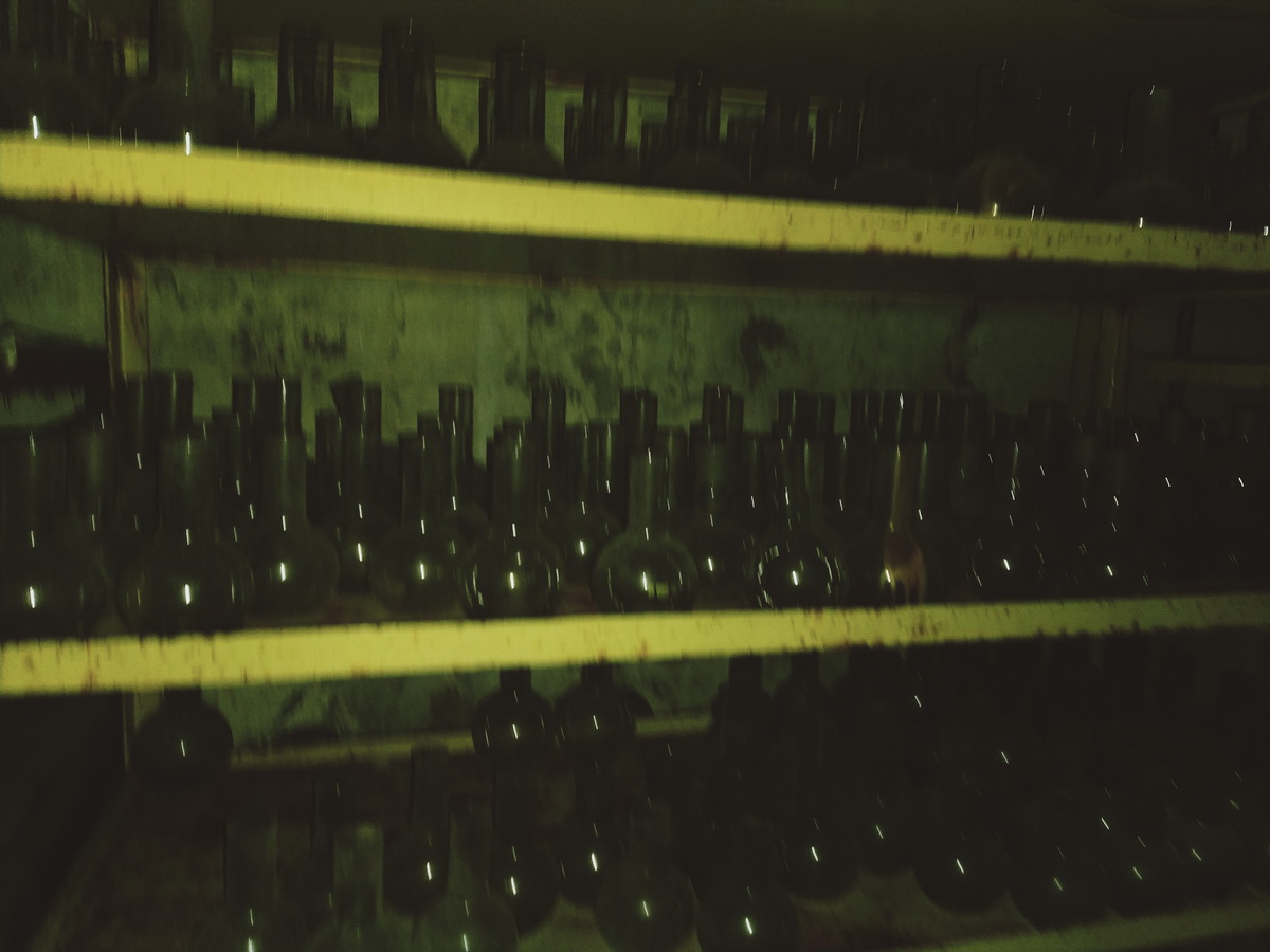 IMG_20241224_125550_новый размер.jpg