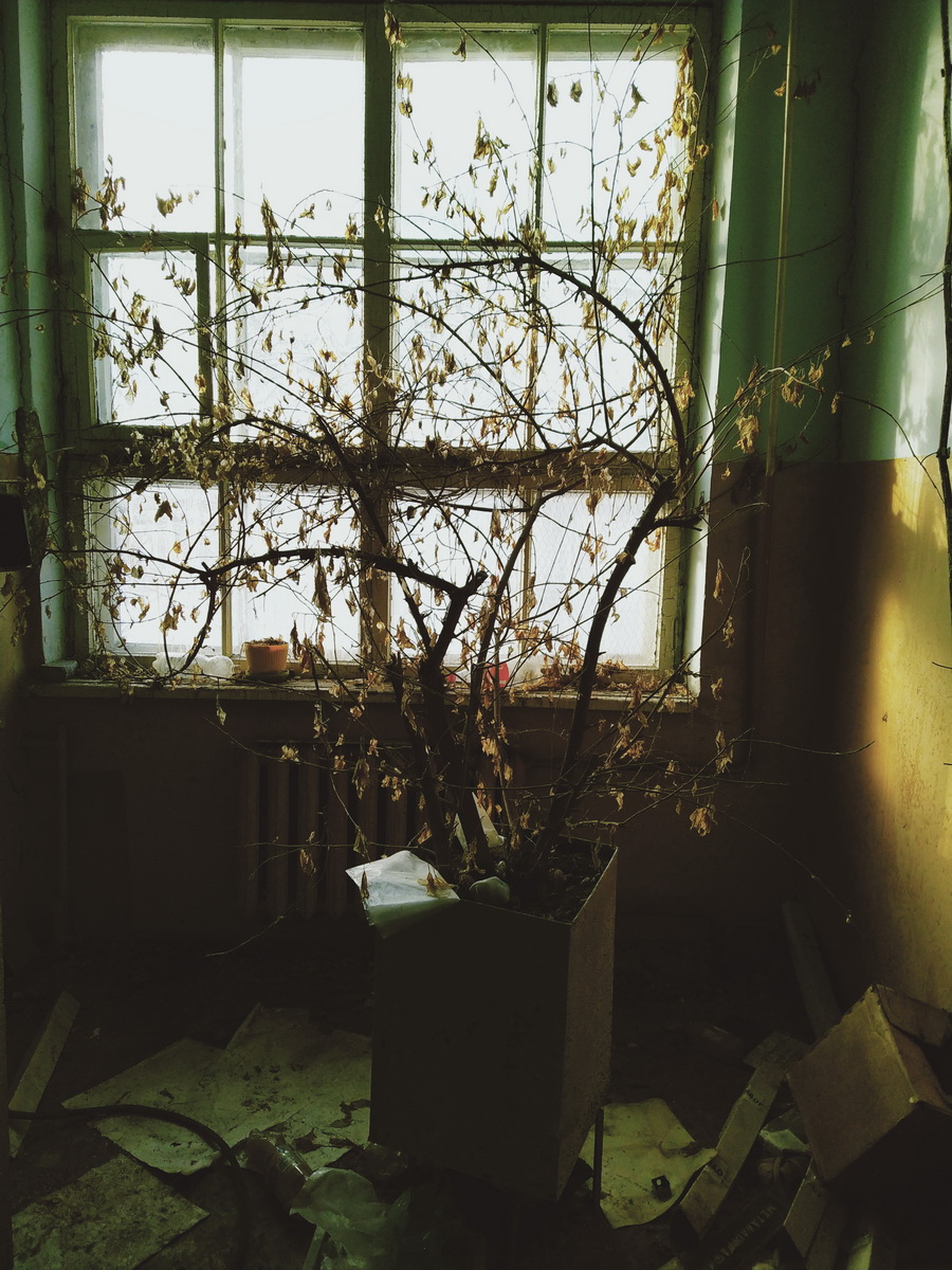 IMG_20241224_131847_новый размер.jpg