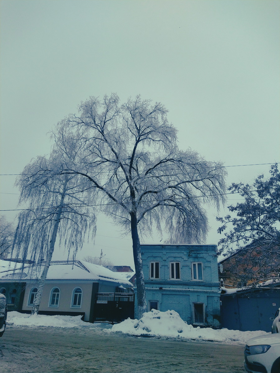 IMG_20241230_131728_новый размер.jpg