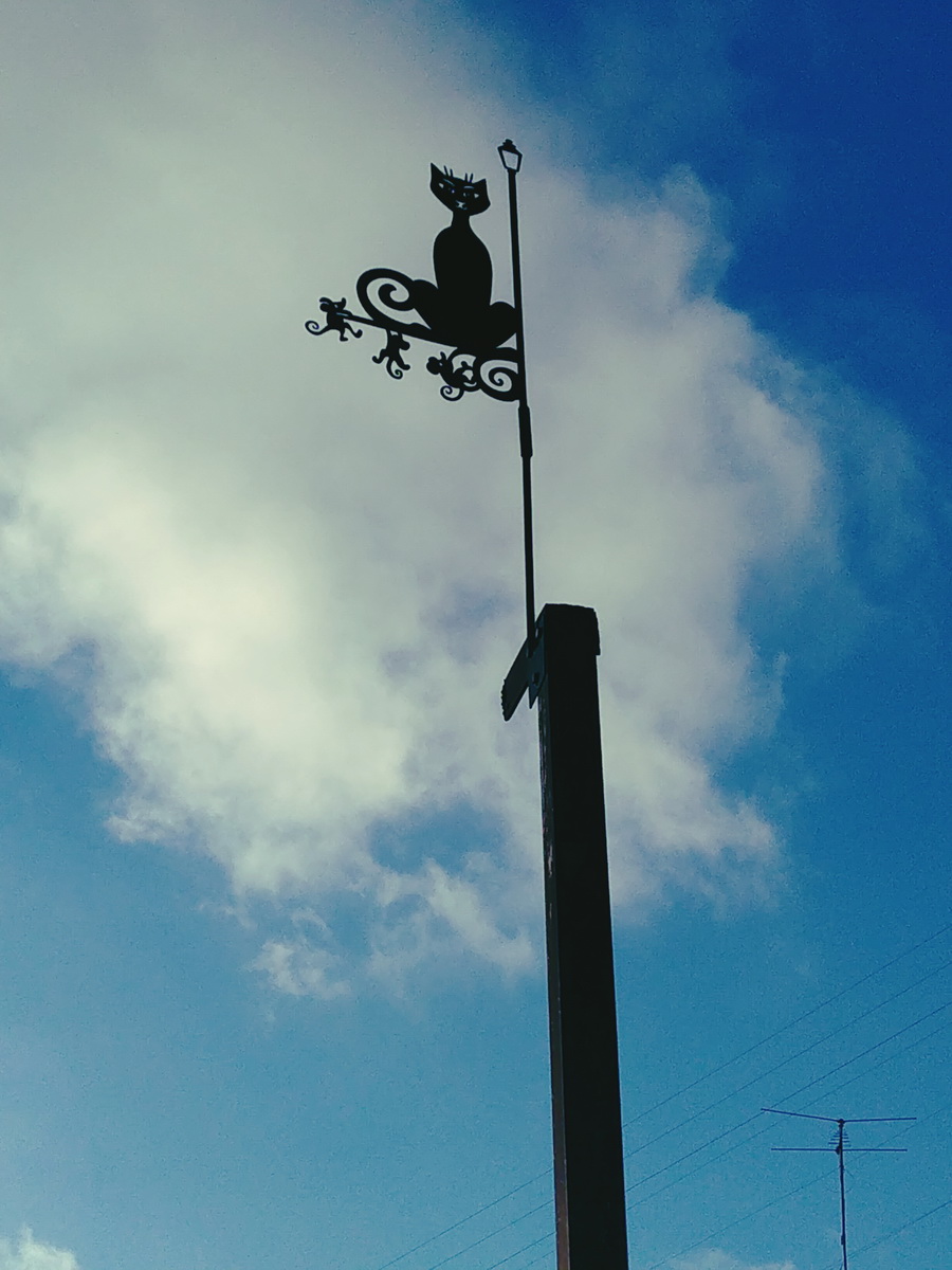 IMG_20250105_142828_новый размер.jpg