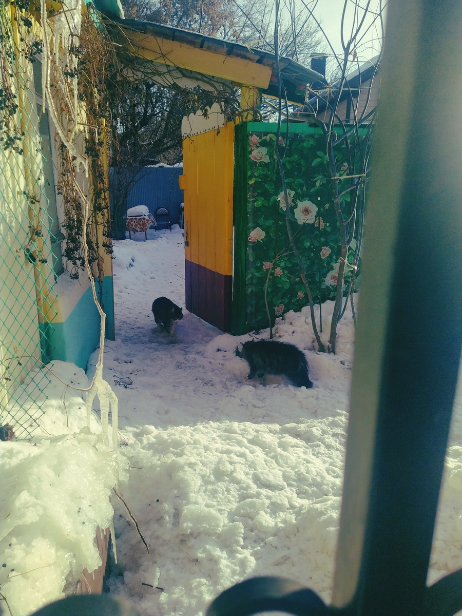 IMG_20250106_115642_новый размер.jpg