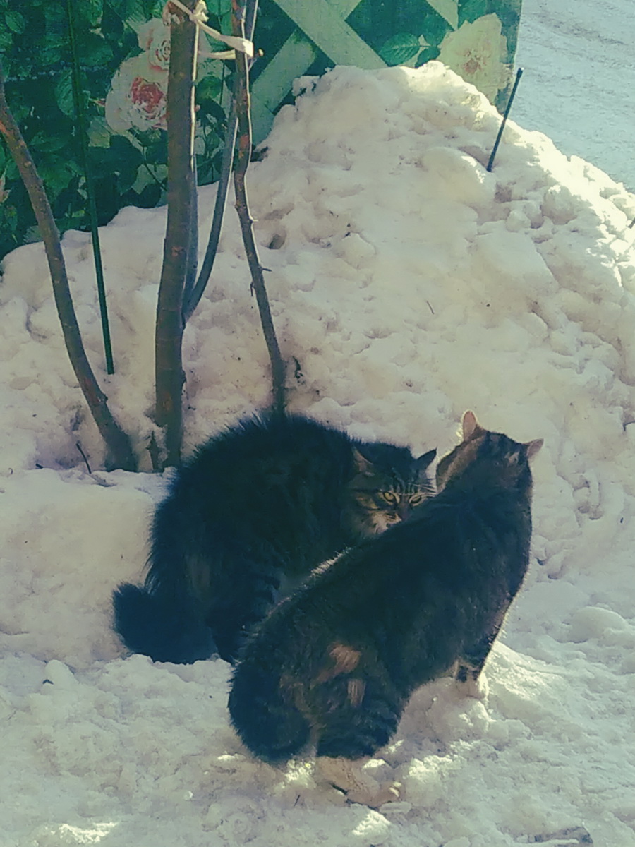 IMG_20250106_115729_новый размер.jpg