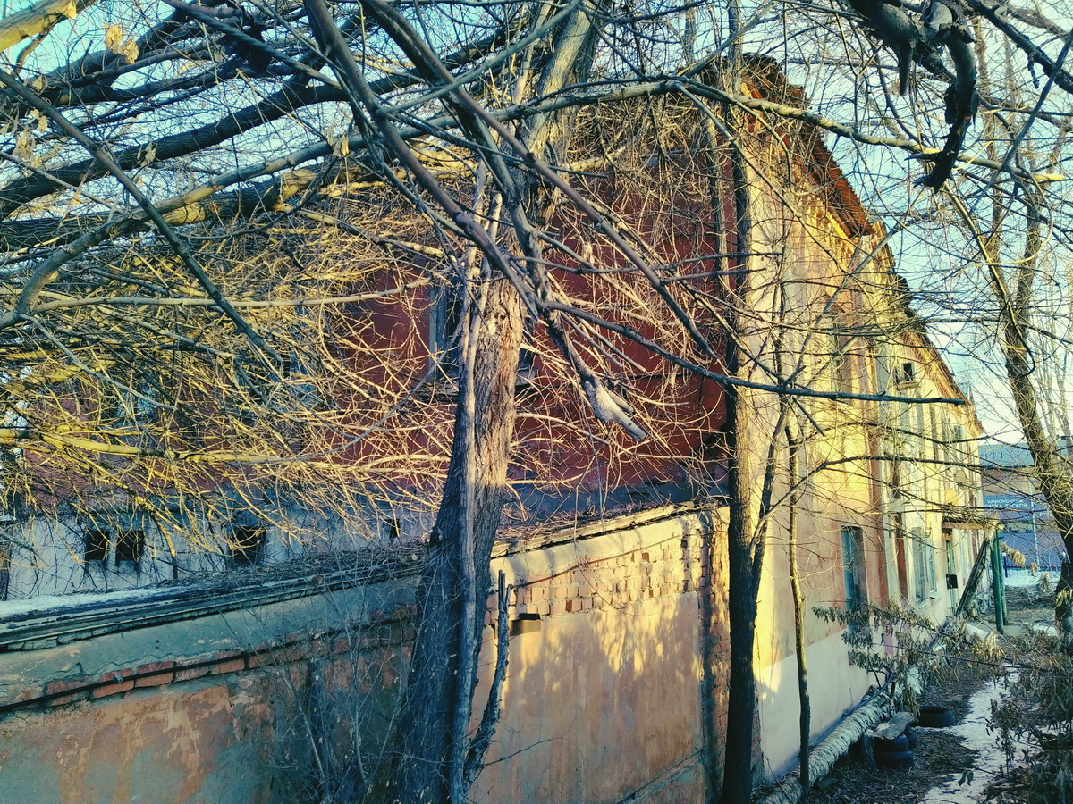 IMG_20250106_155436_новый размер.jpg