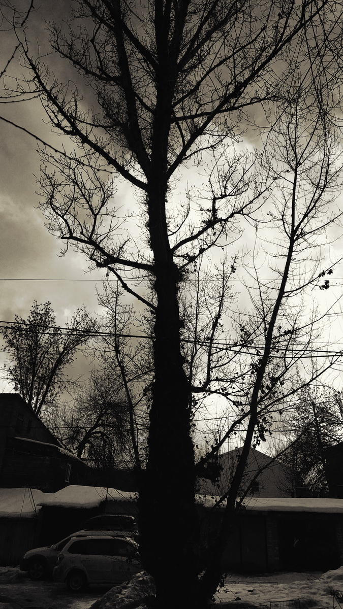 IMG_20250111_152342_новый размер.jpg