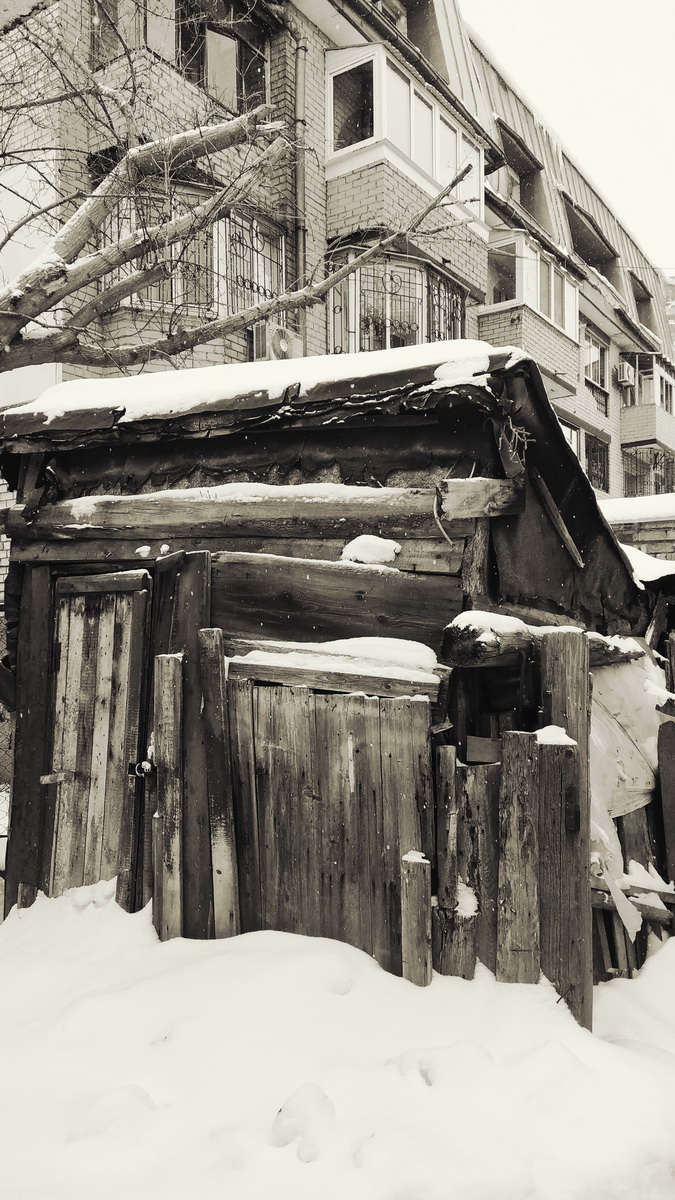 IMG_20250117_105219_новый размер.jpg