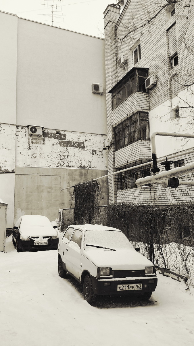 IMG_20250117_105232_новый размер.jpg