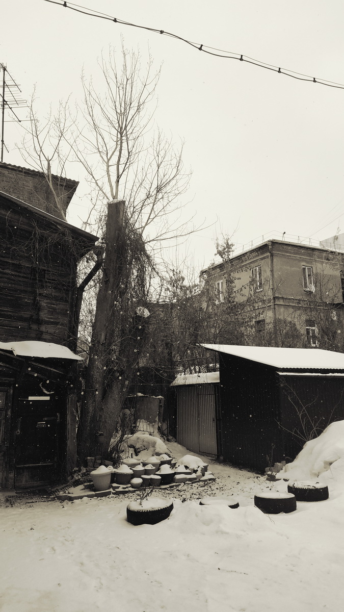 IMG_20250117_105246_новый размер.jpg