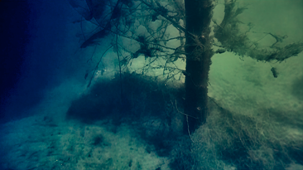 vlcsnap-2026-10-16-12h47m56s974.png
