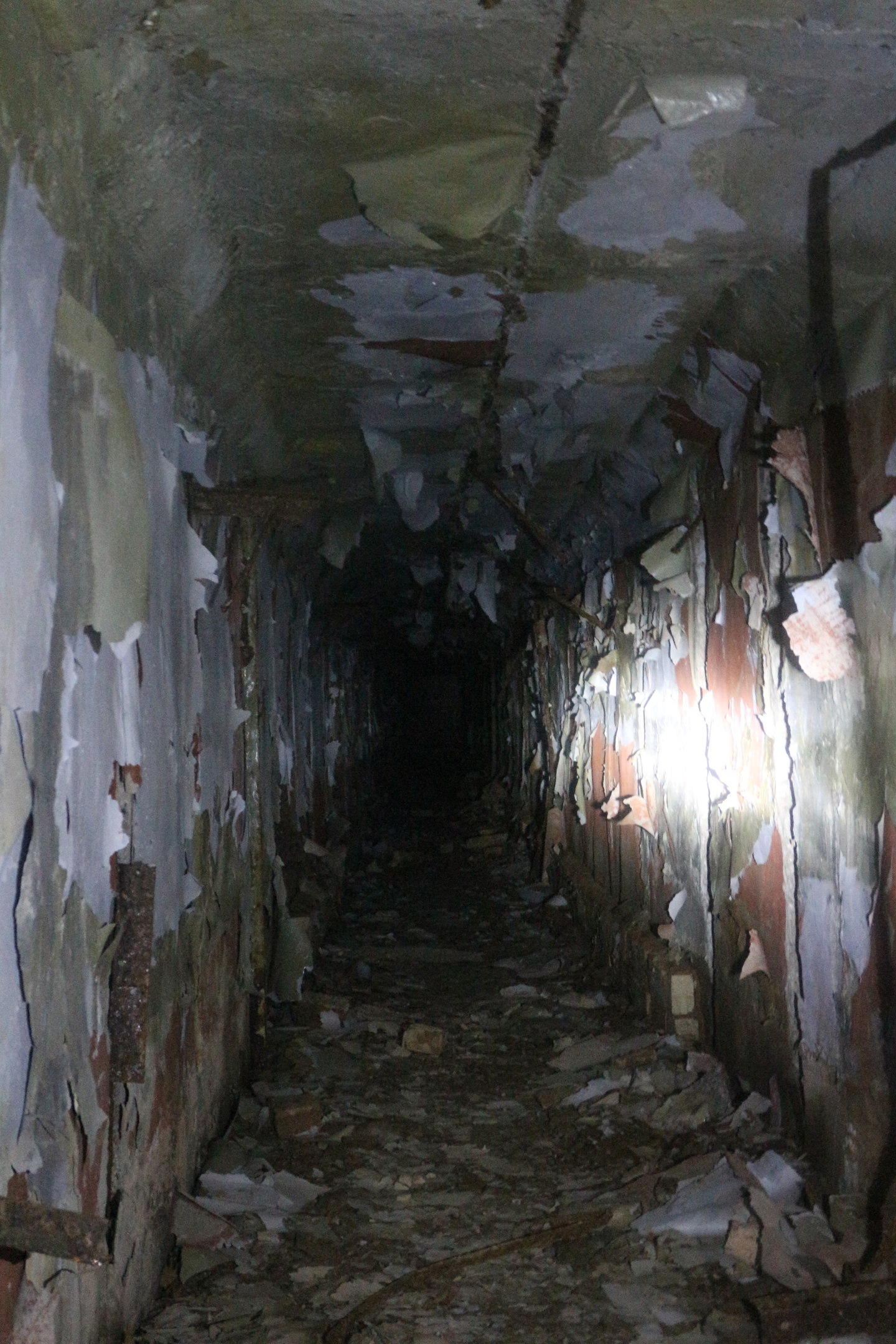 VSzKKhjS_08.jpg