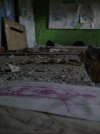 DSC00416.jpg