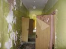 DSC00442.jpg
