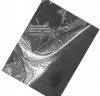 p2.JPG