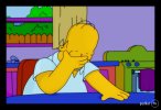 1292415665_homer_facepalm.jpg