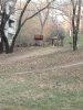 IMG_20131101_182623.jpg