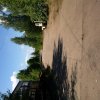 IMG_20140724_152756.jpg