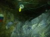 IMG-20160104-WA0020.jpg
