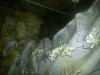 IMG-20160104-WA0019.jpg
