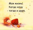 КогдаХочуТогдk.jpg