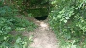 IMG_20230709_165546_374.jpg