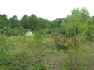 IMG-1544.jpg