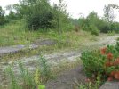 IMG-1526.jpg