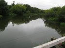 IMG-1549.jpg