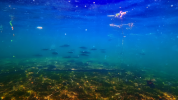 vlcsnap-2026-08-03-21h44m30s562.png