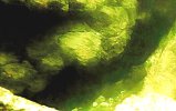 11vlcsnap-2026-10-04-17h35m19s314 cor.jpg