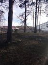 IMG_20261029_140638.jpg
