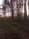 IMG_20261029_140530.jpg