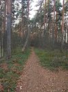 IMG_20261029_152610.jpg