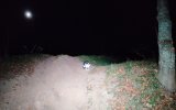 IMG_20261023_184107.jpg