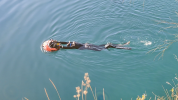 vlcsnap-2026-10-30-13h17m16s033.png