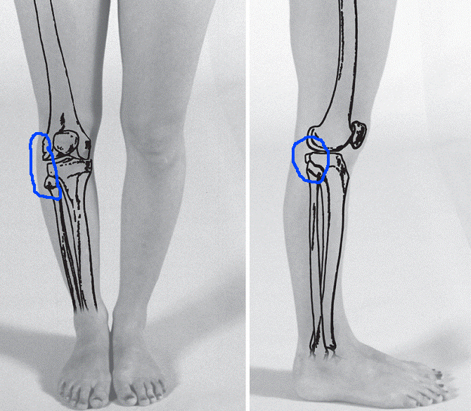 0_e52d9_f5750d65_orig