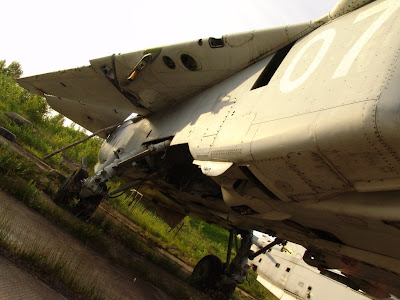DSC09003.JPG