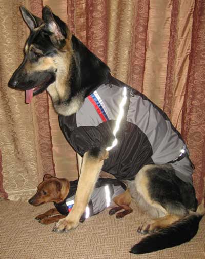 ziletka_400_s_b.jpg