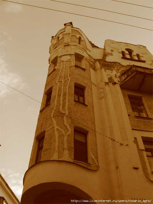 3458288_IMG_0892.jpg
