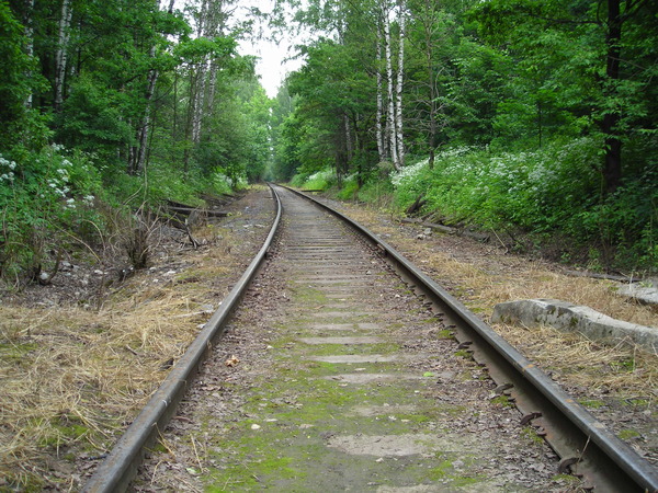 i-20.jpg