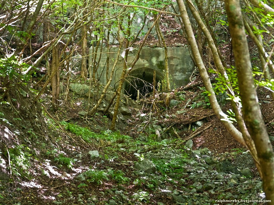 0_52f87_7723d784_orig.jpg
