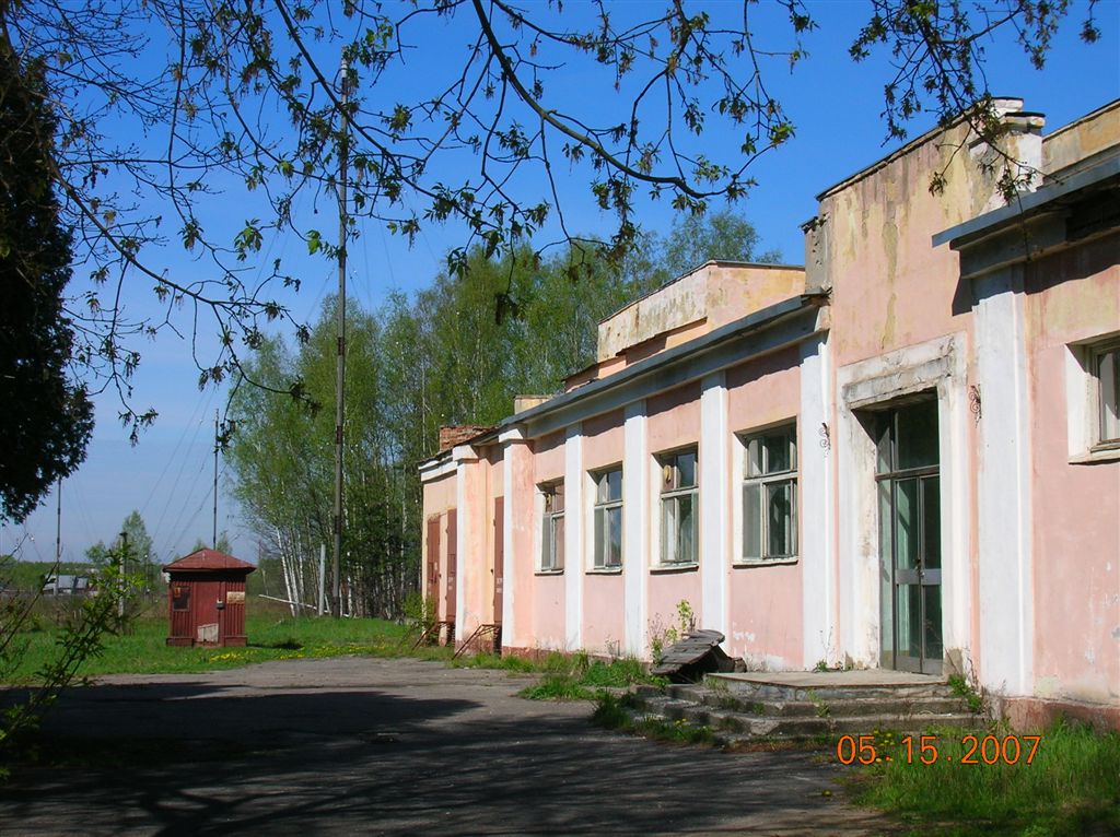 0003zysr